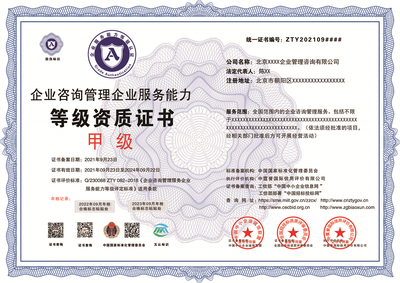 企业管理咨询资质投标必备指南 核心要素与成功策略